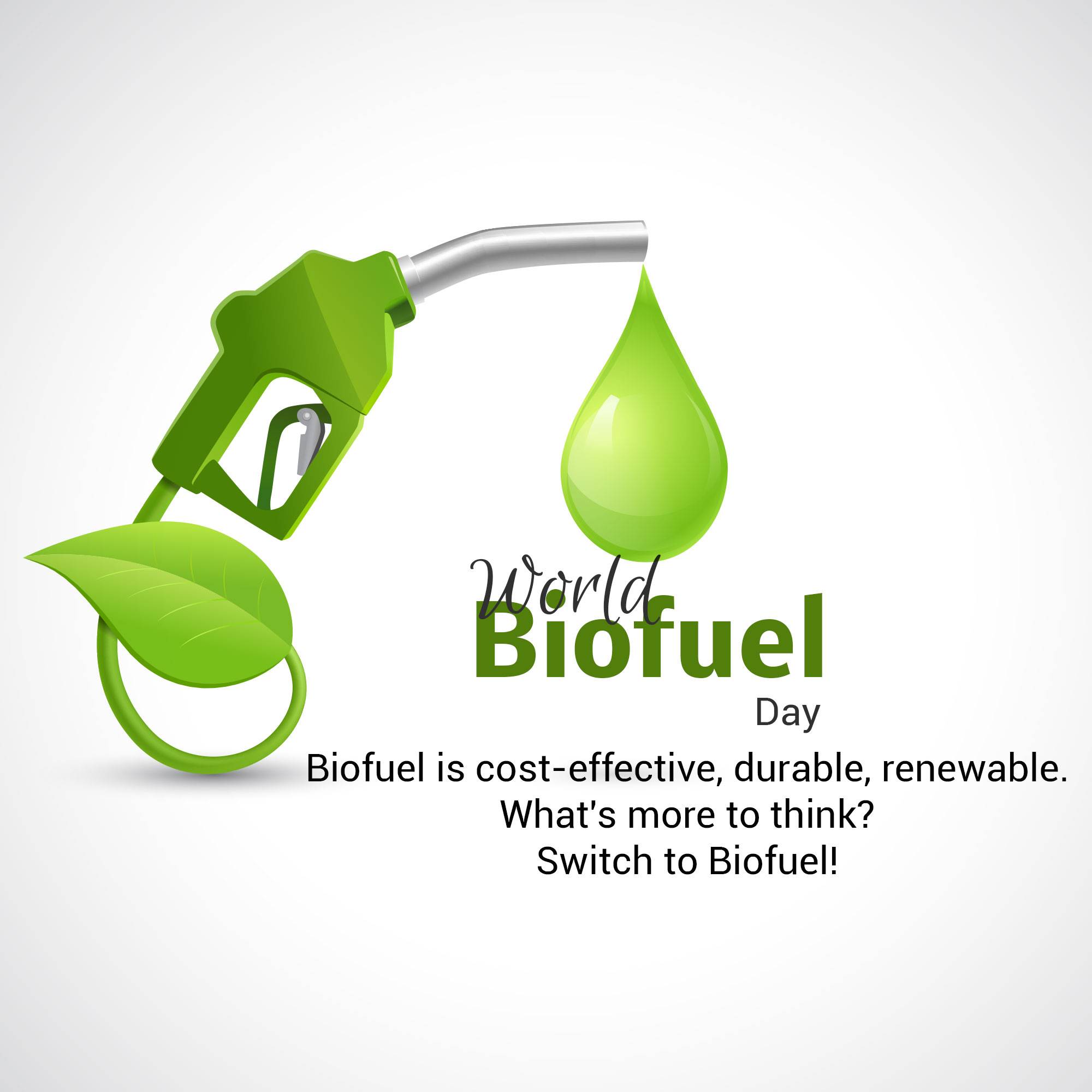 World Biofuel Day