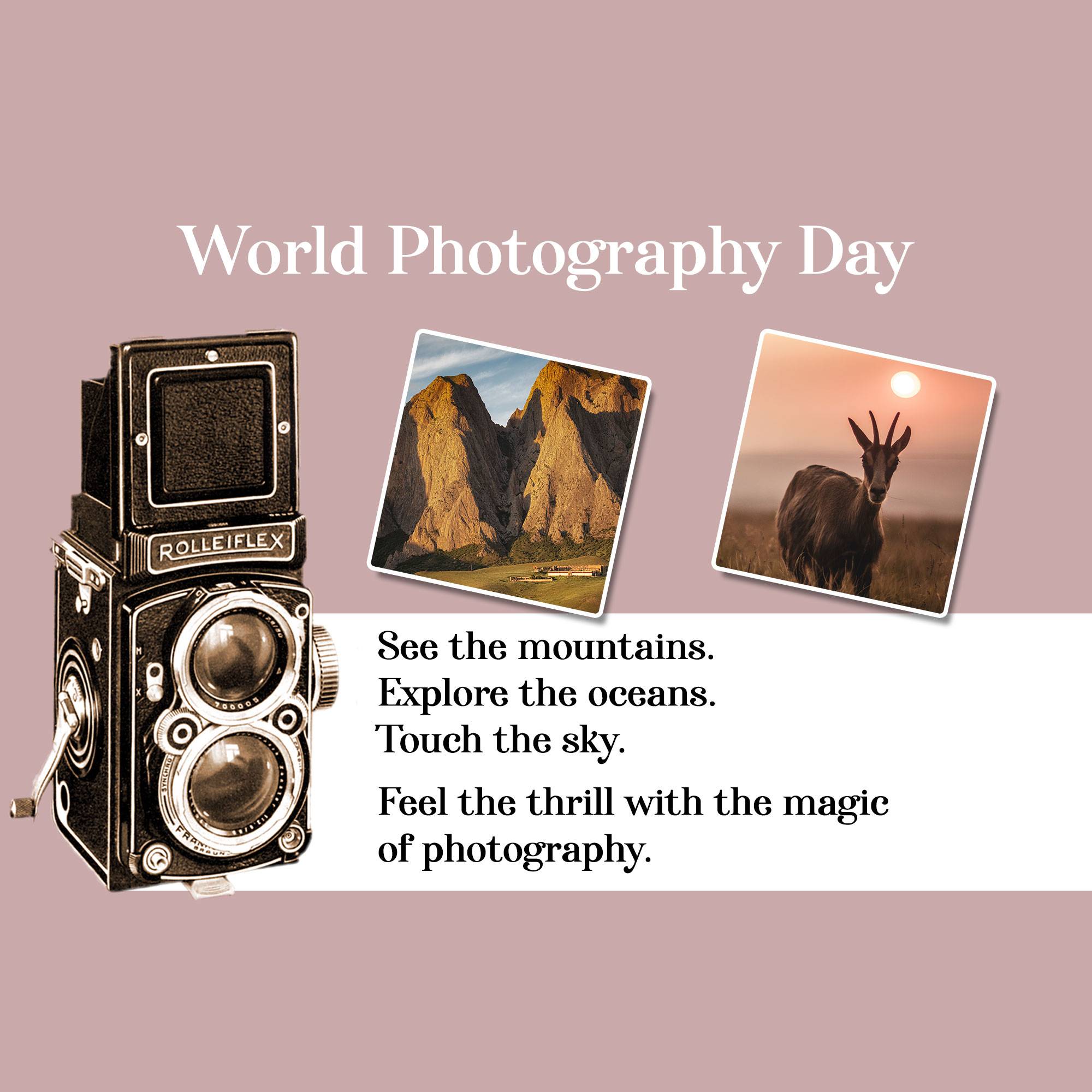 World Photography Day