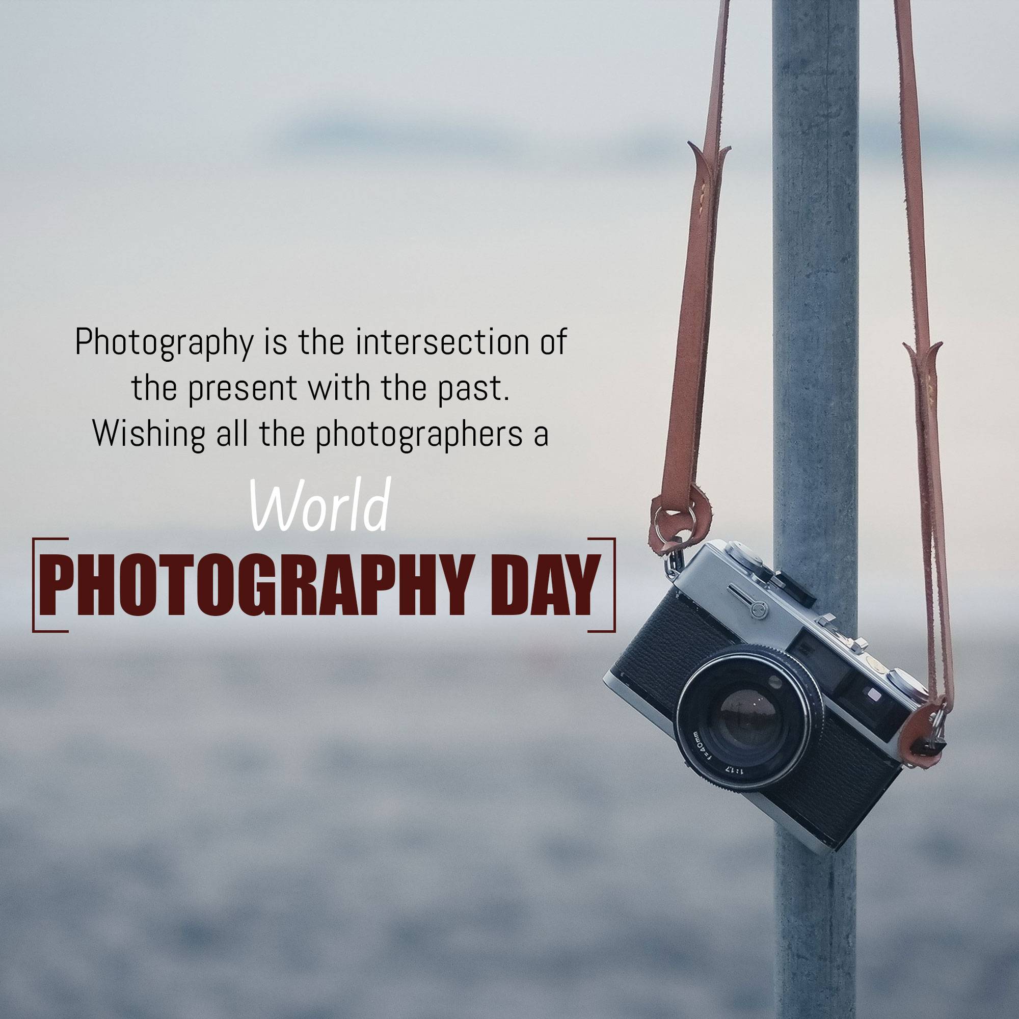 World Photography Day