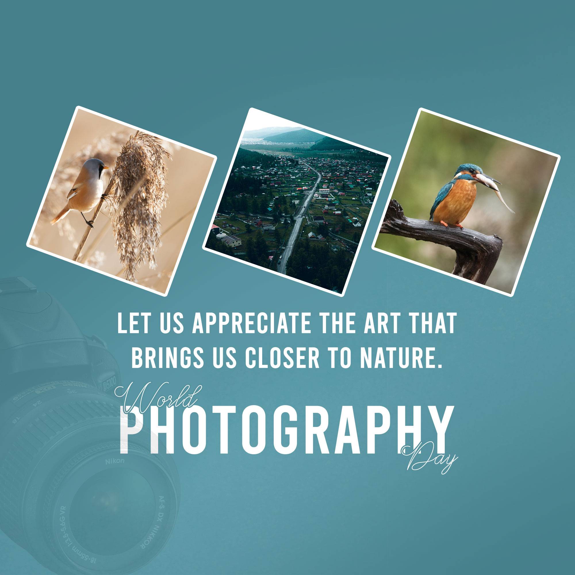 World Photography Day