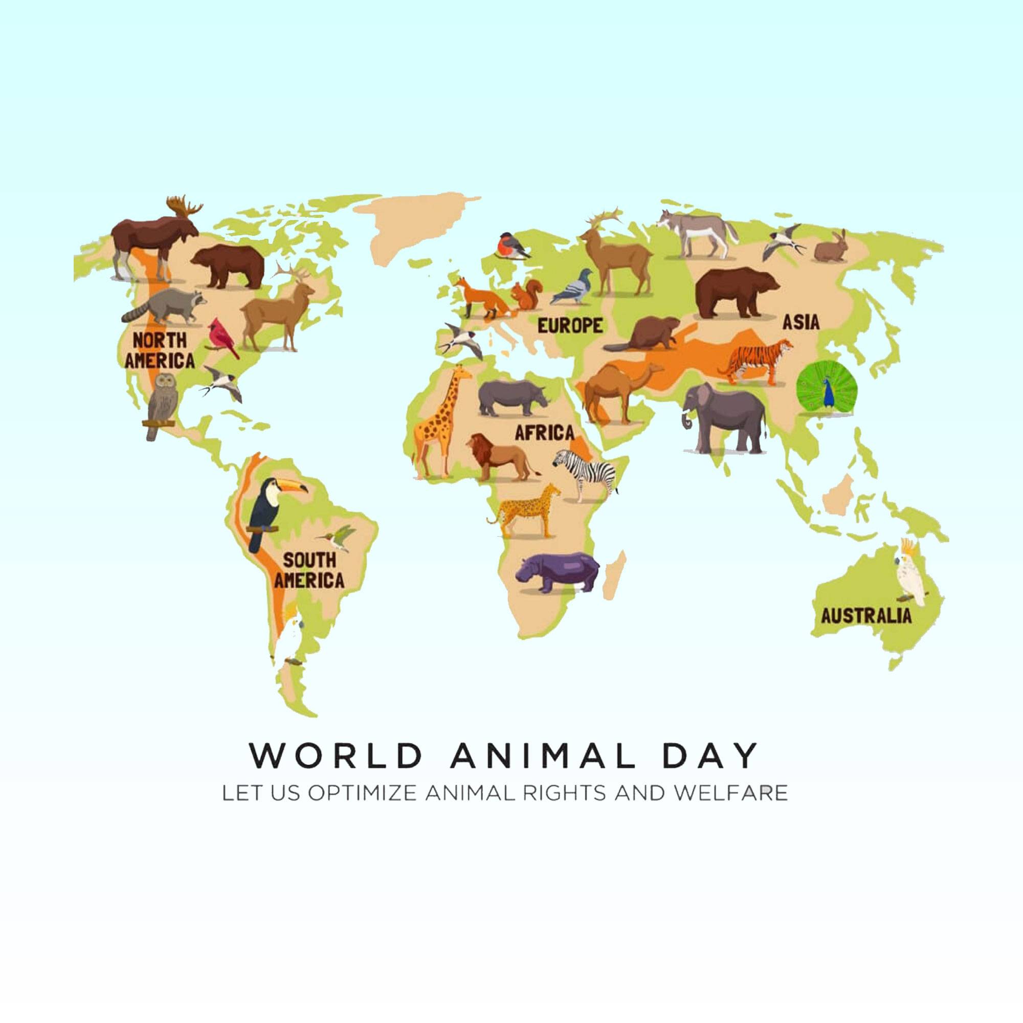 World Animal Day