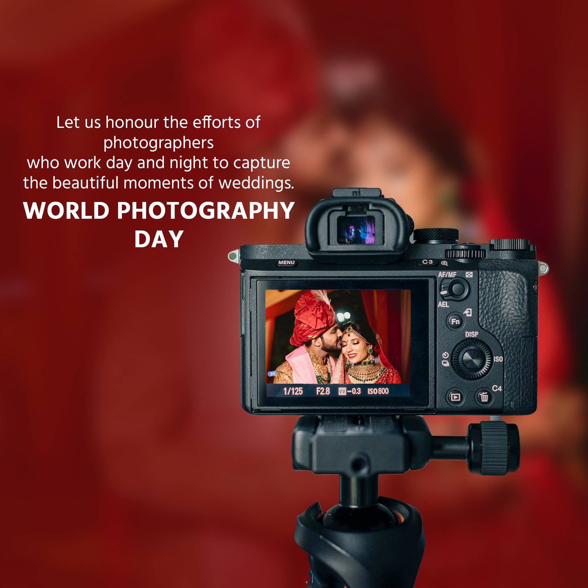 World Photography Day