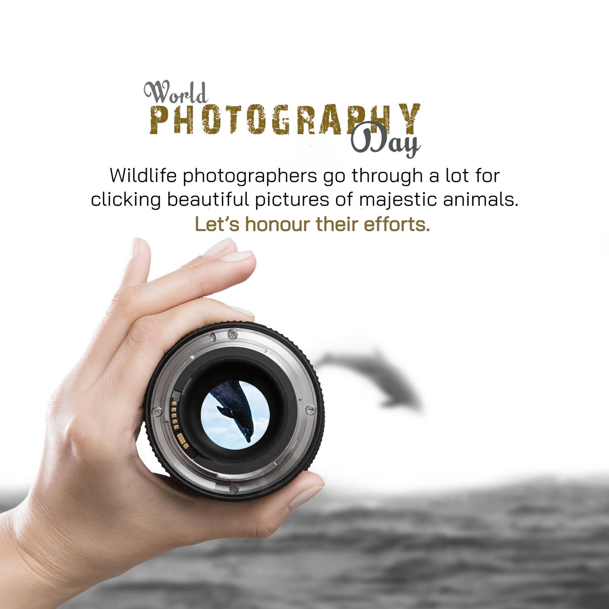 World Photography Day