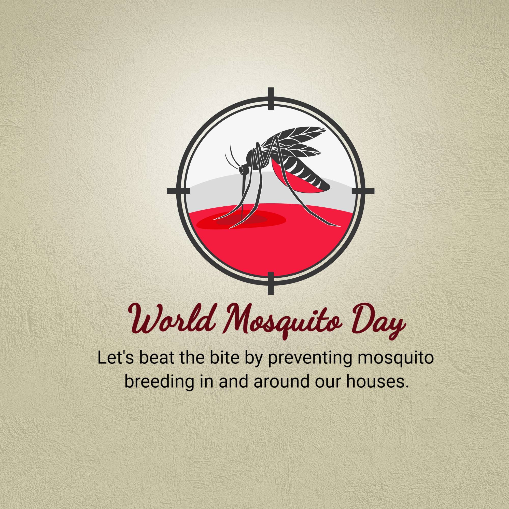 World Mosquito Day