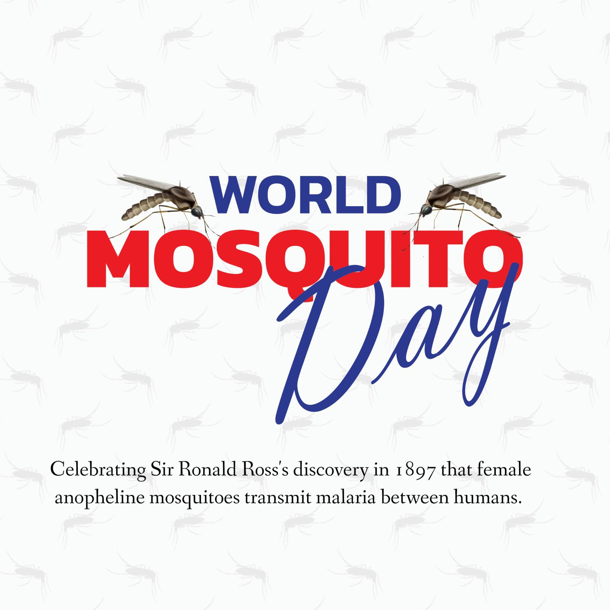 World Mosquito Day