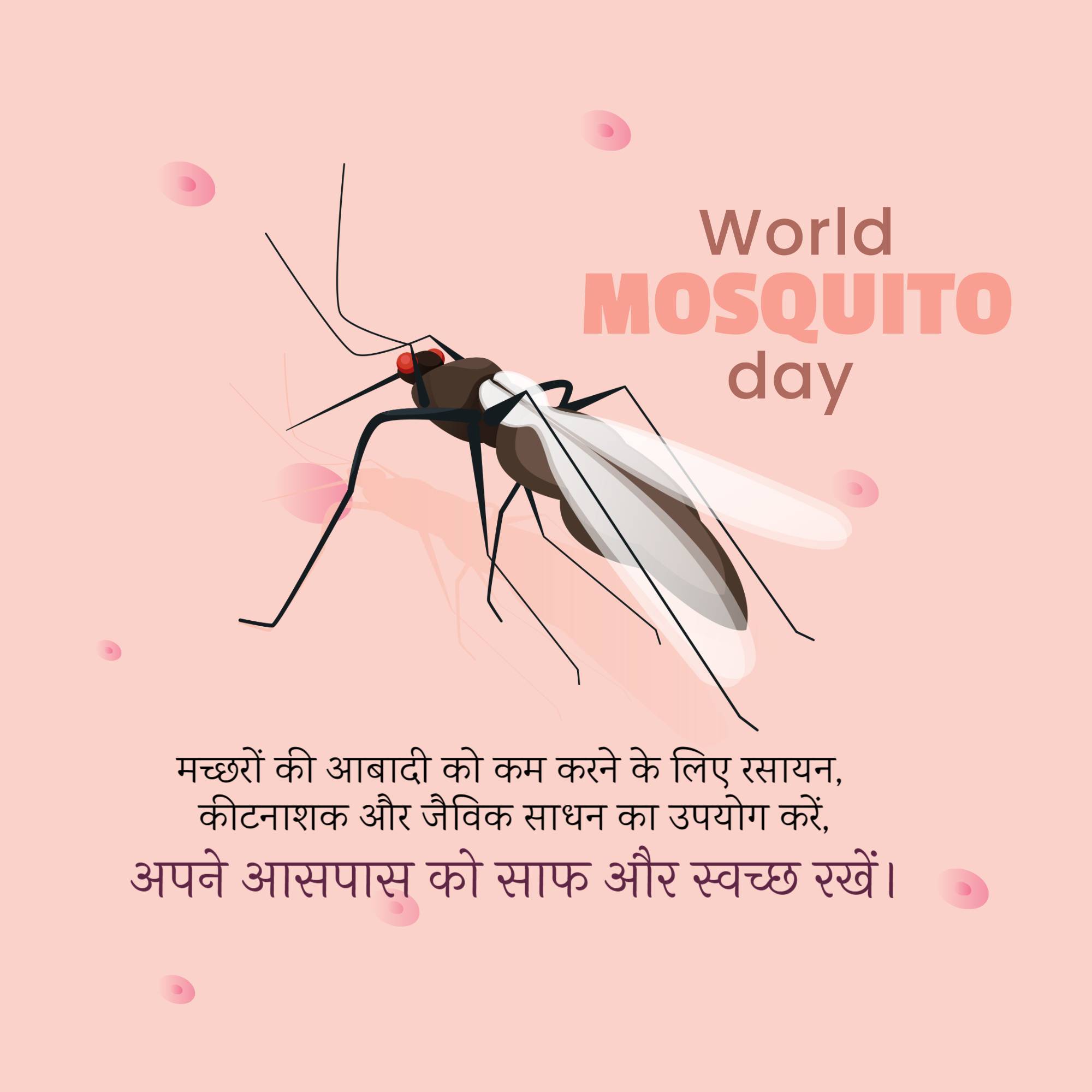 World Mosquito Day