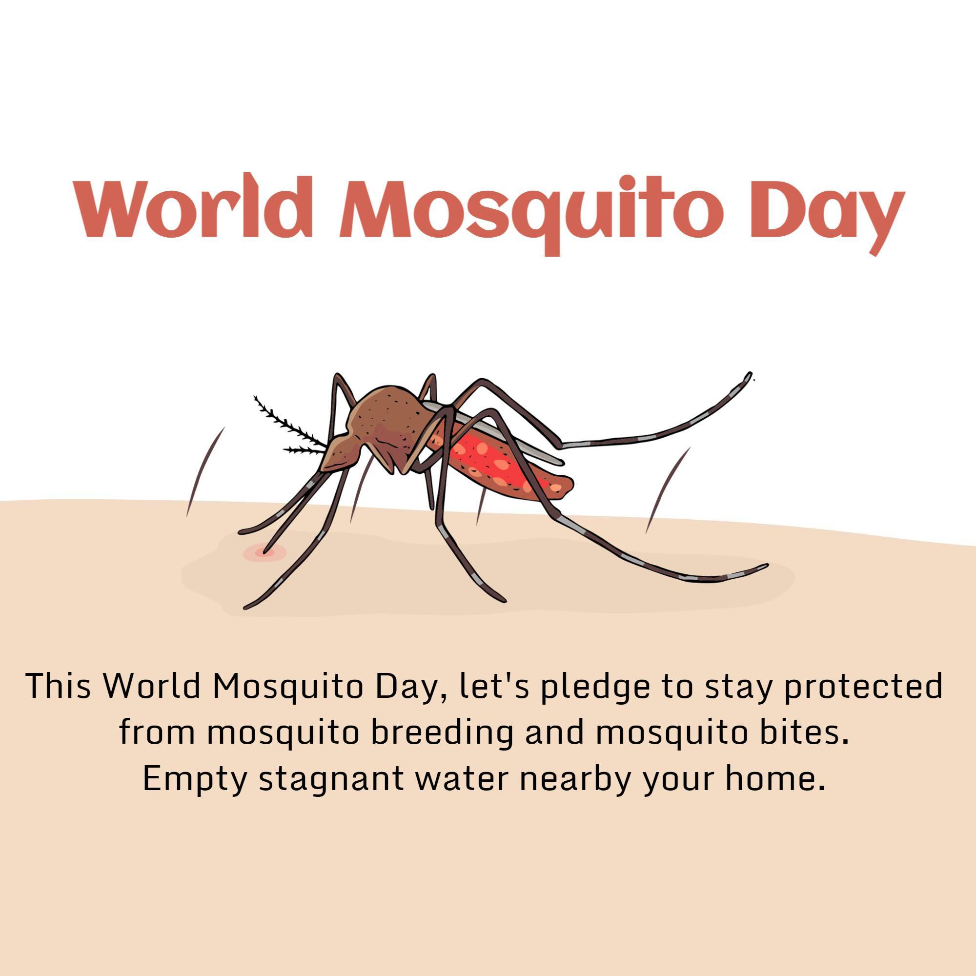 World Mosquito Day
