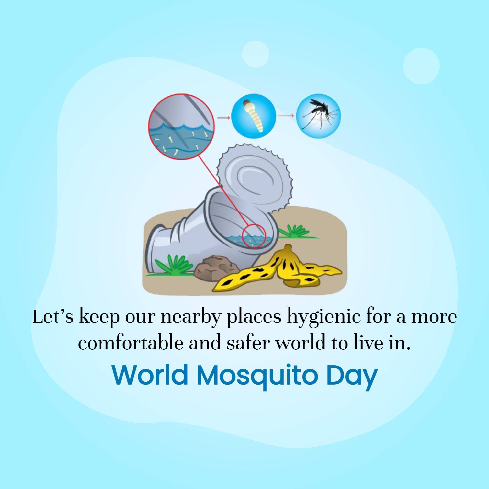 World Mosquito Day
