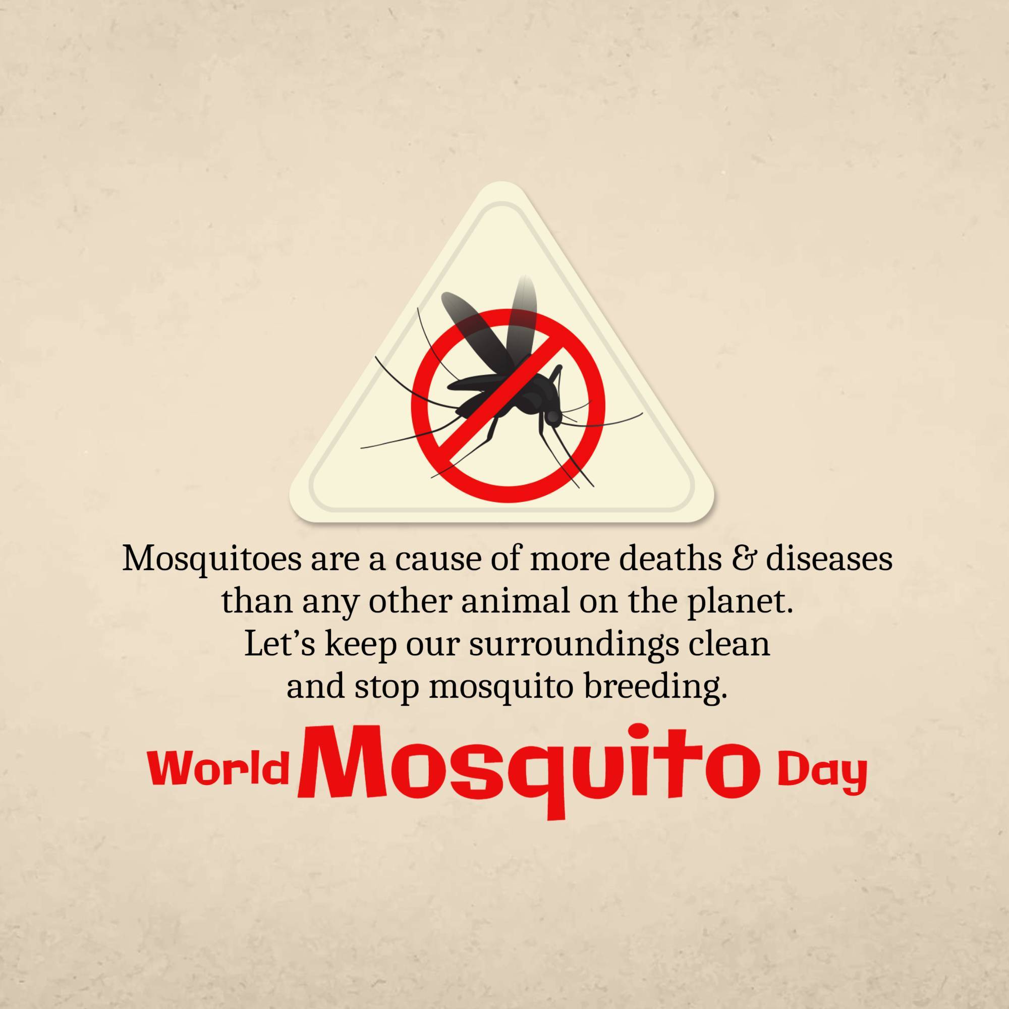 World Mosquito Day