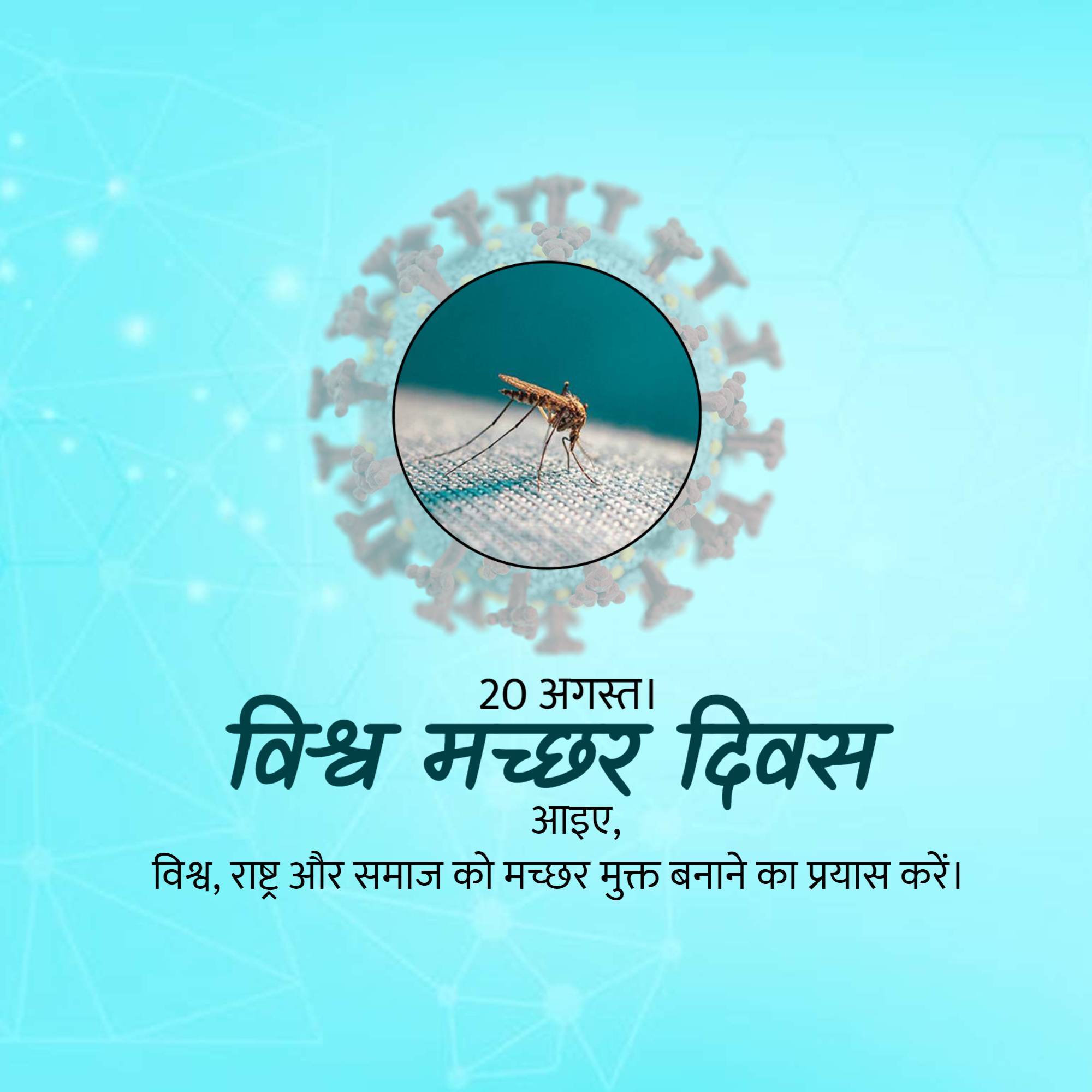 World Mosquito Day