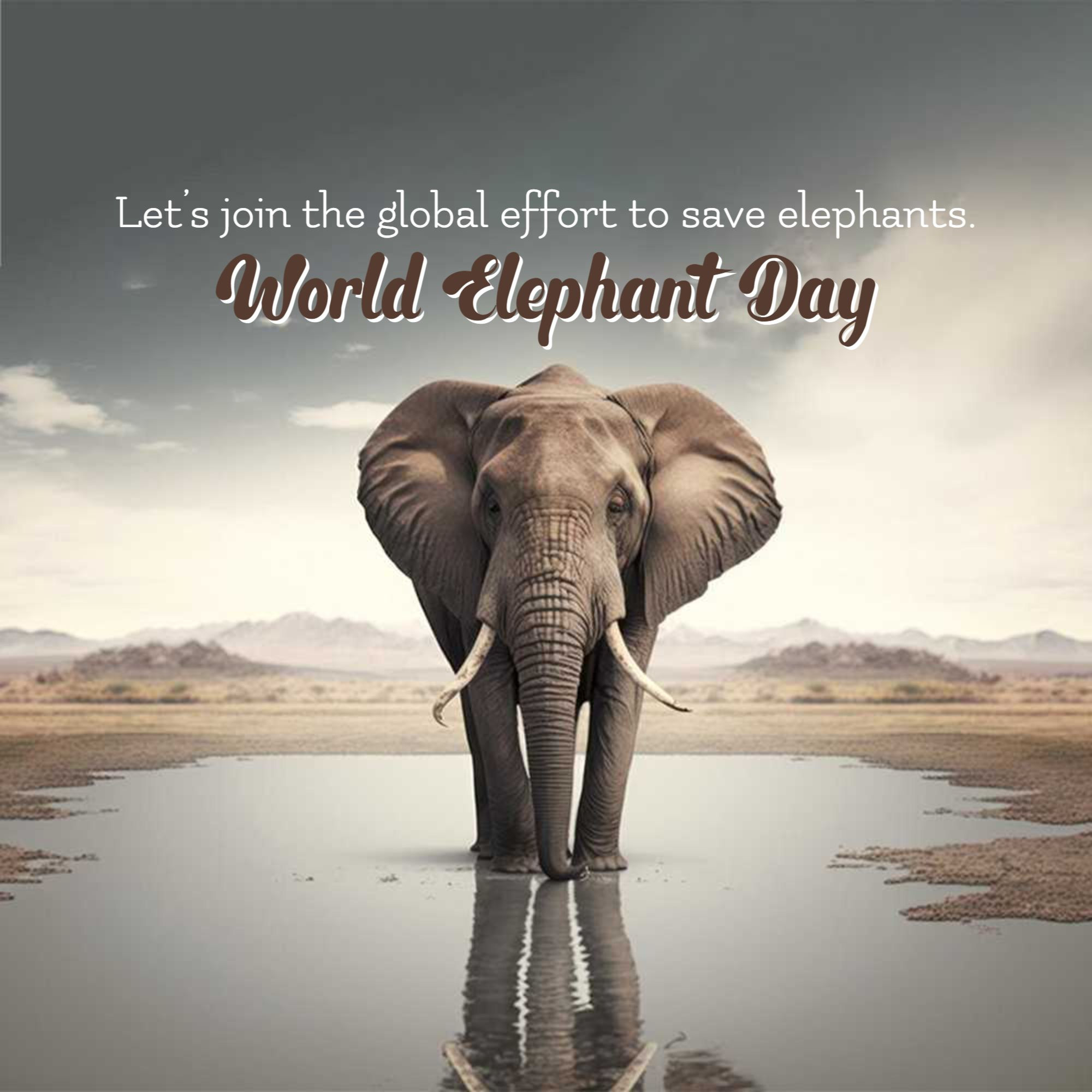 World Elephant Day
