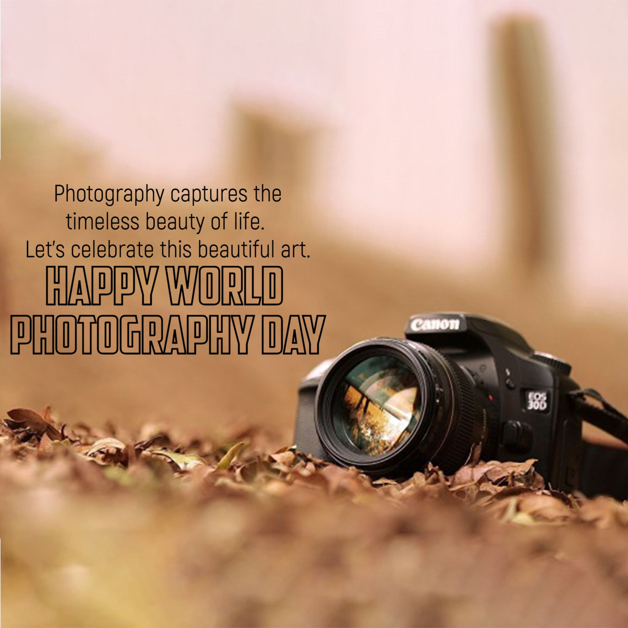 World Photography Day