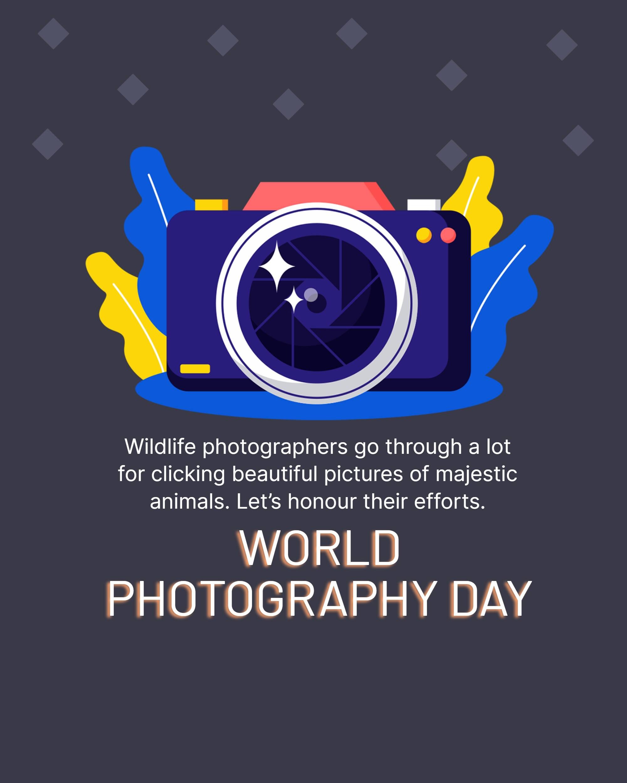 World Photography Day