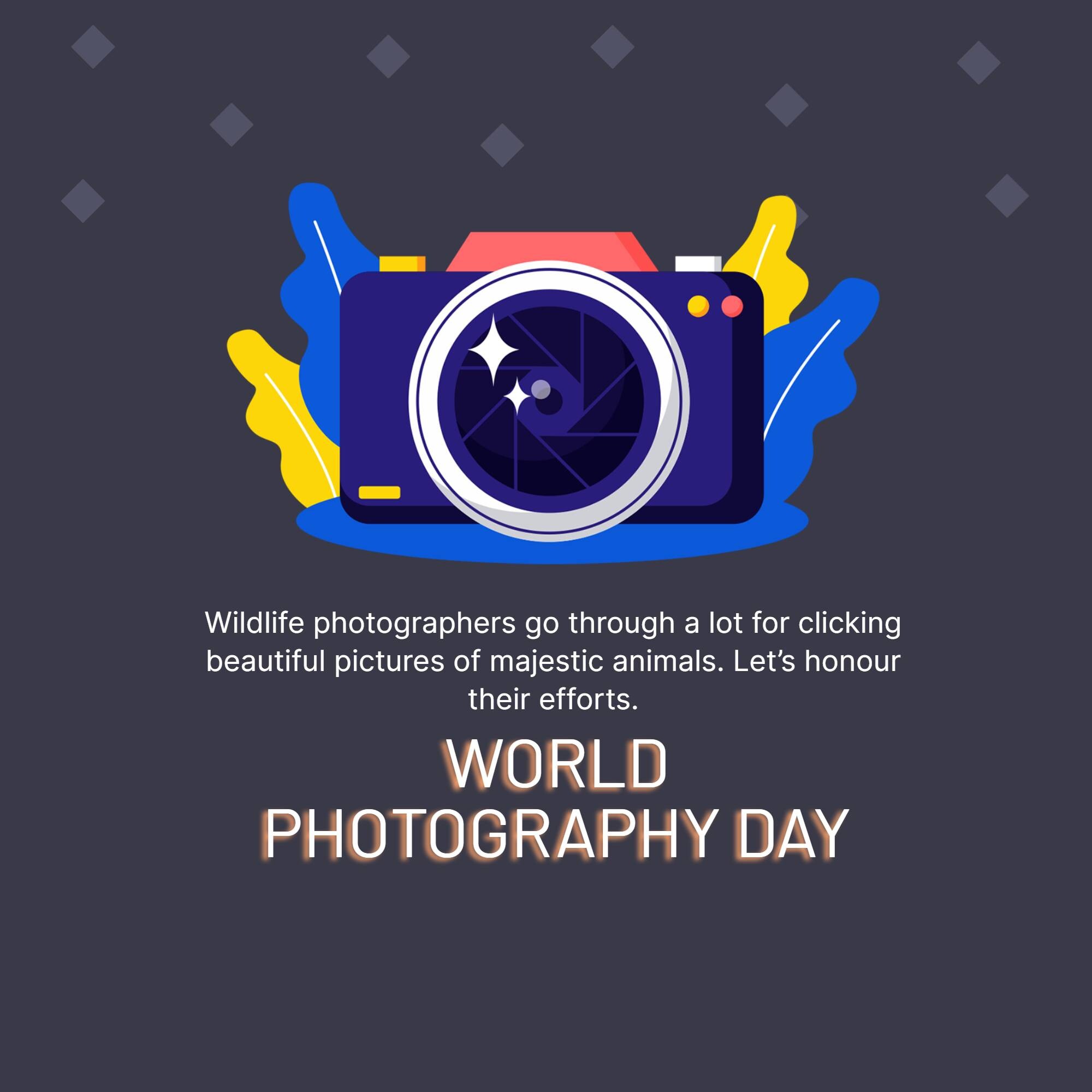 World Photography Day