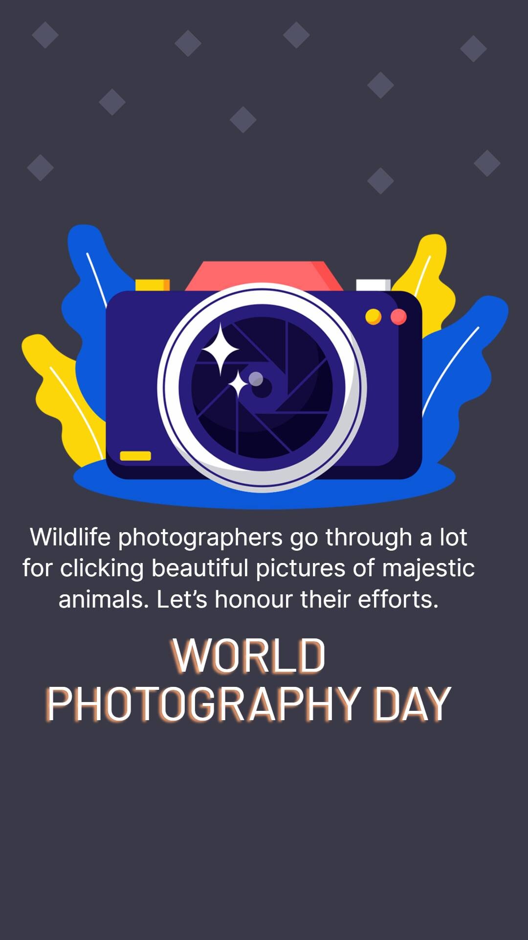 World Photography Day