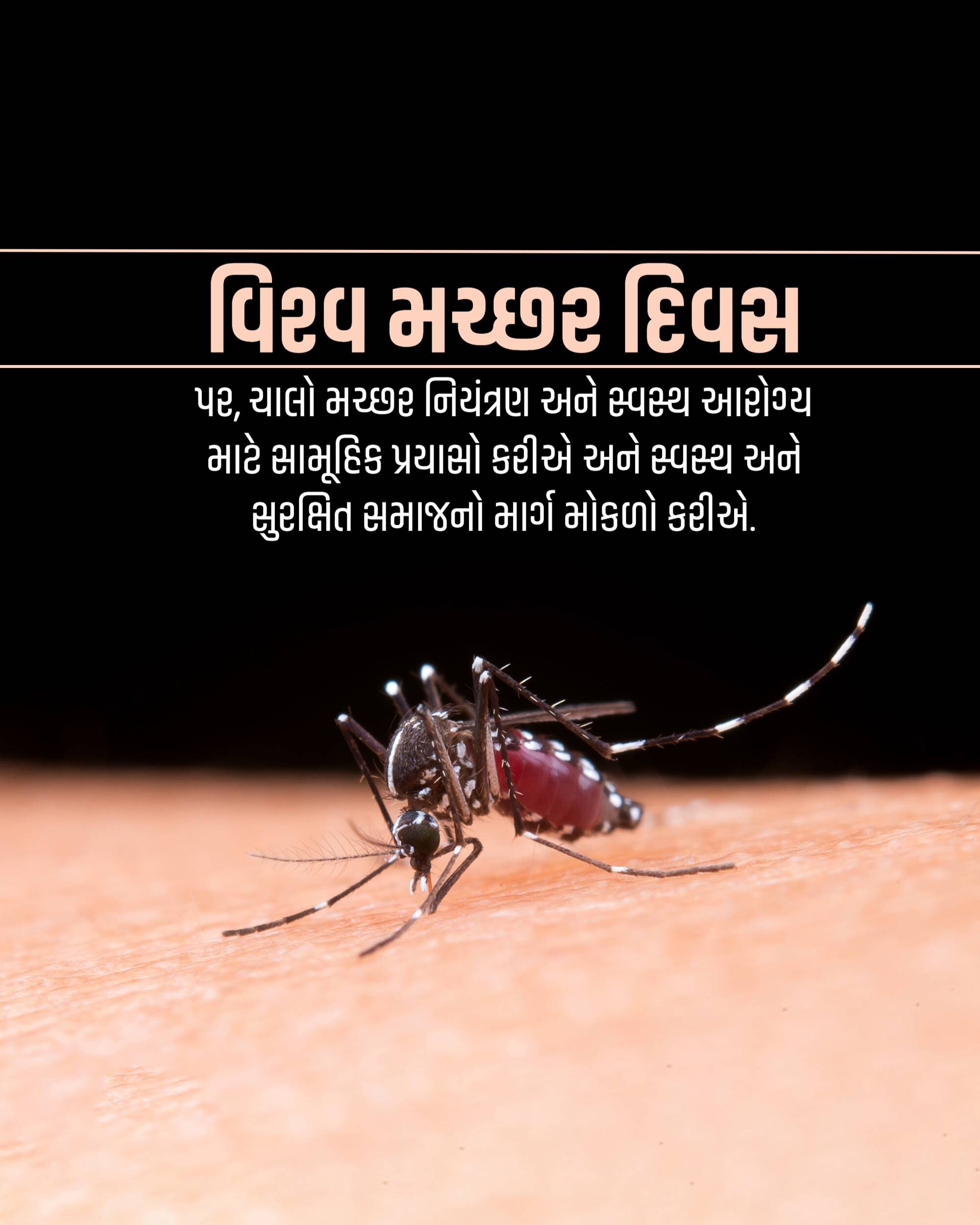 World Mosquito Day