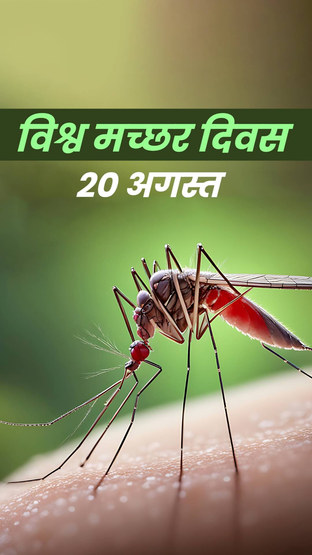 World Mosquito Day