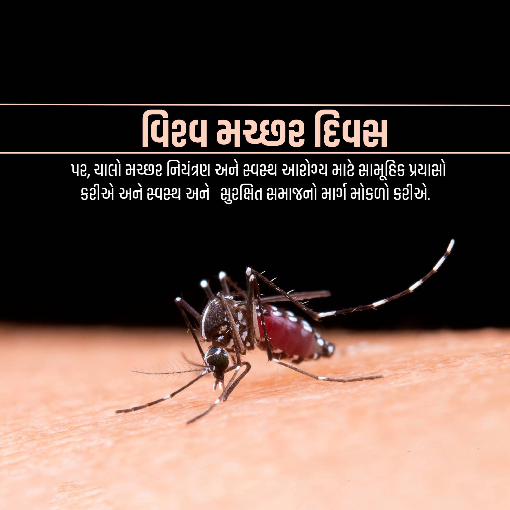 World Mosquito Day