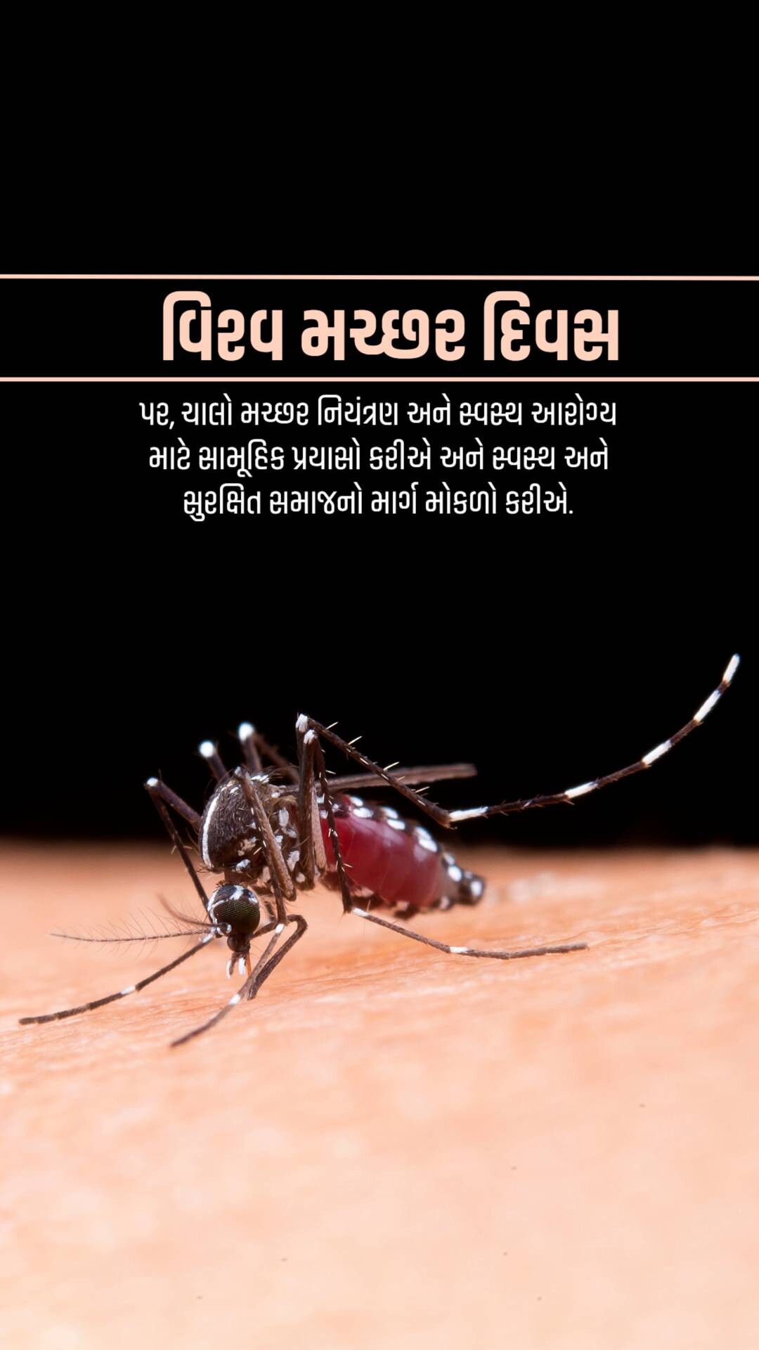 World Mosquito Day