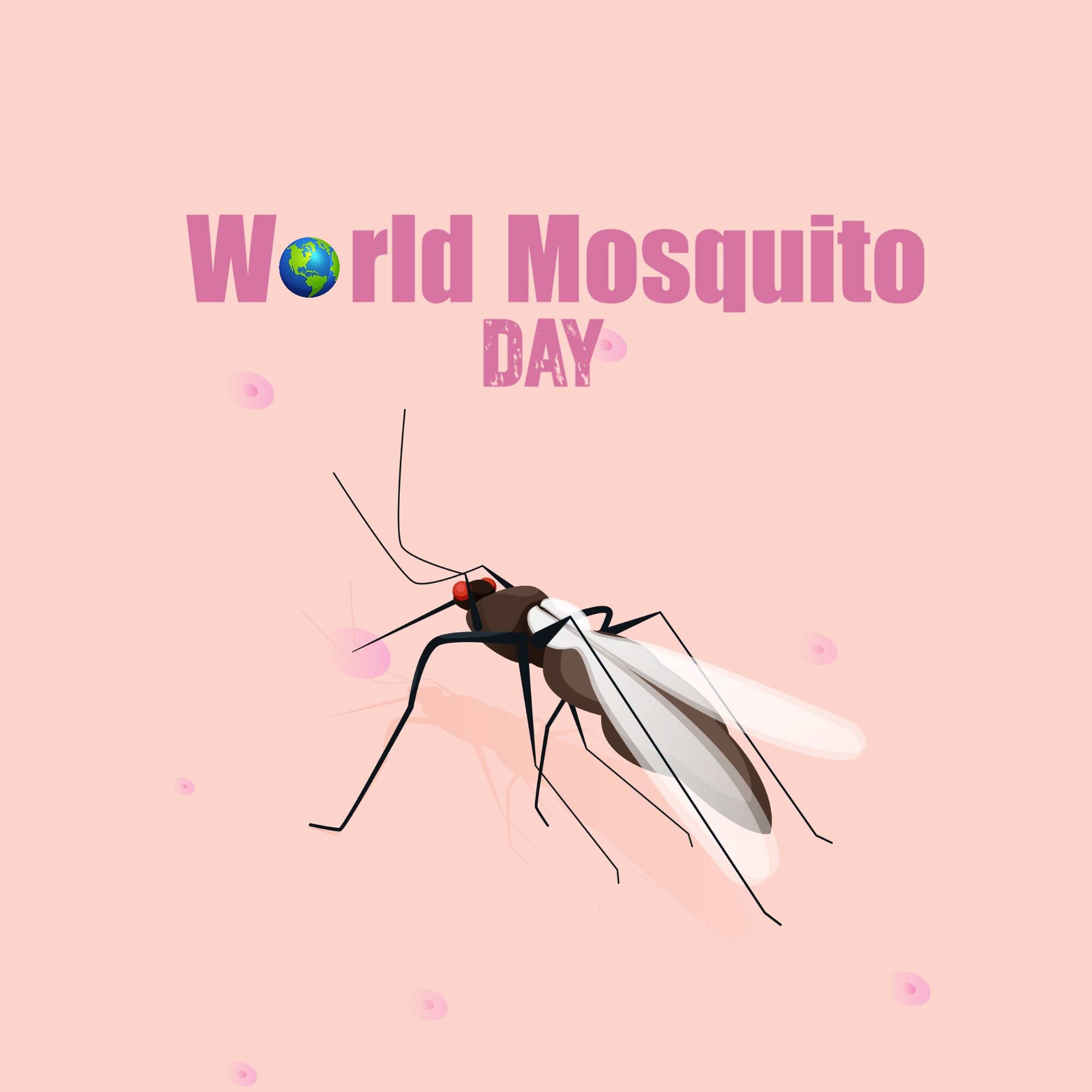 World Mosquito Day