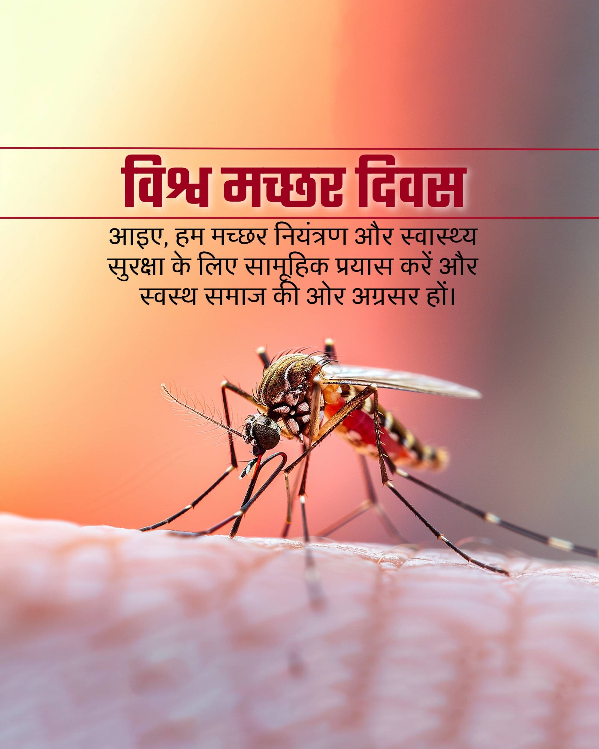 World Mosquito Day