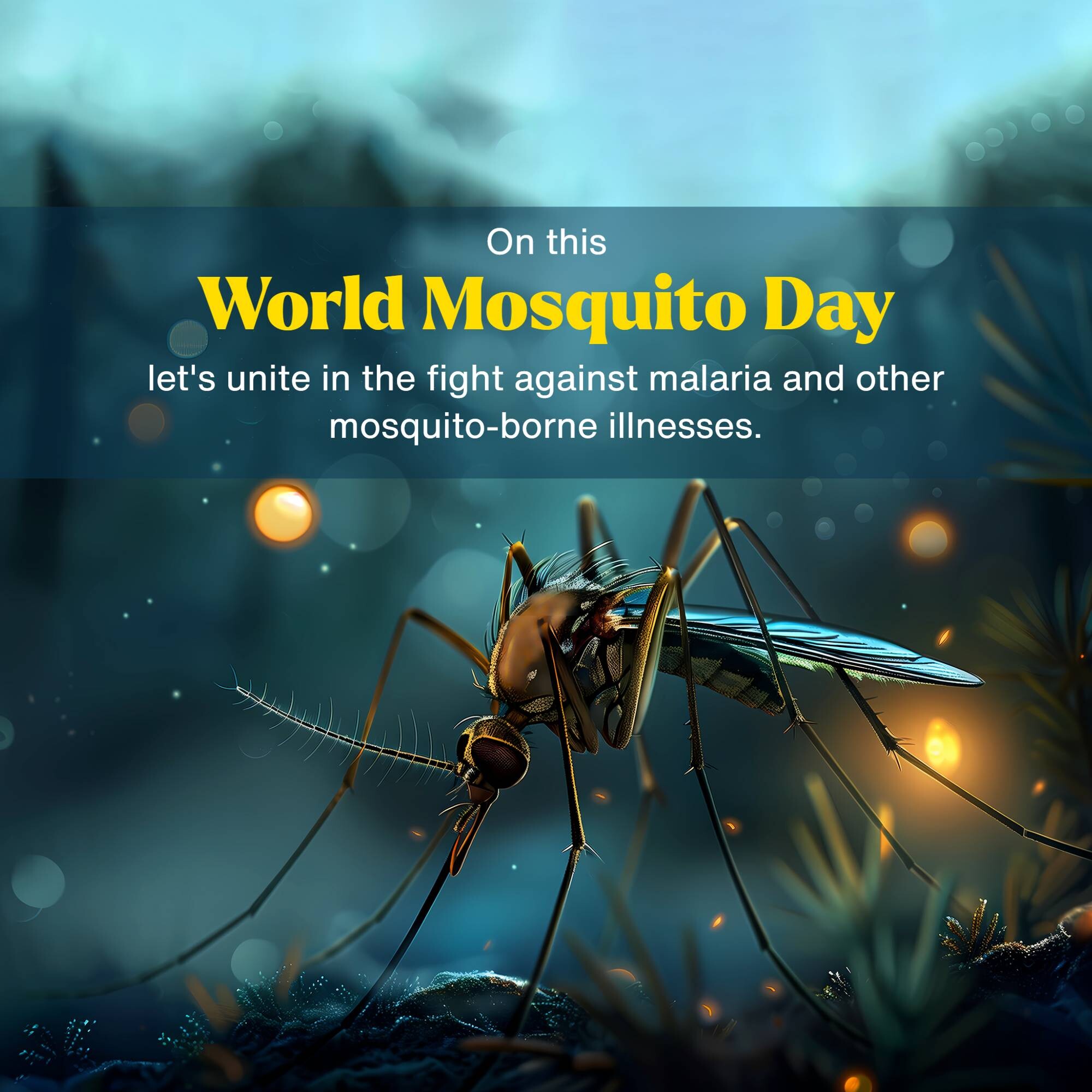 World Mosquito Day