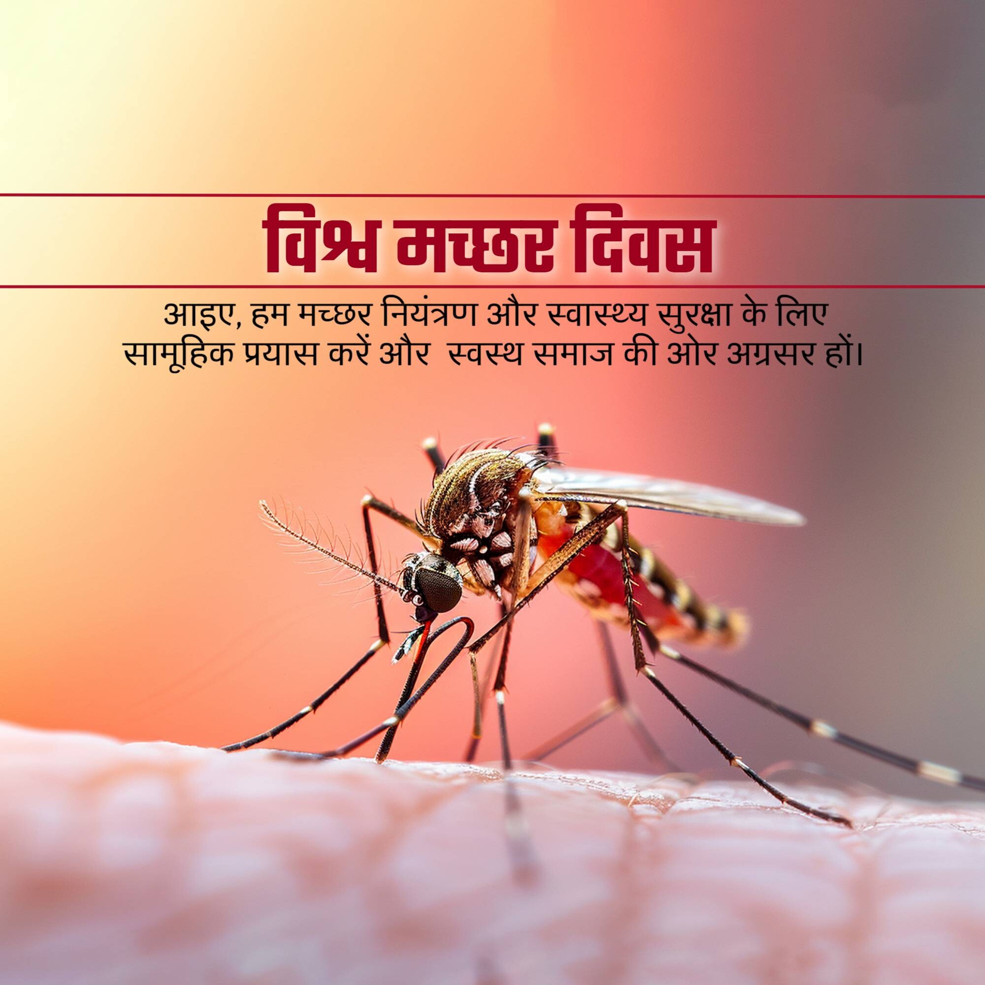 World Mosquito Day