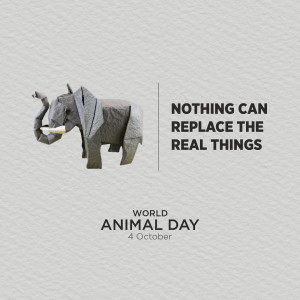 World Animal Day