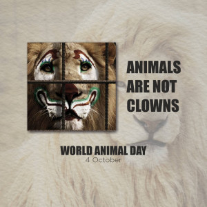 World Animal Day