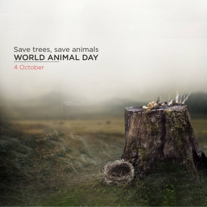 World Animal Day
