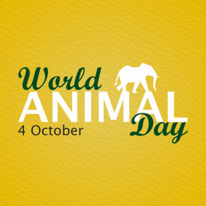World Animal Day