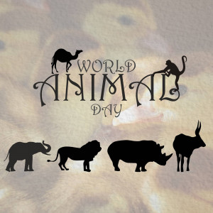 World Animal Day