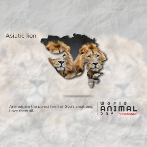 World Animal Day