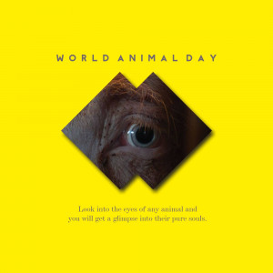 World Animal Day