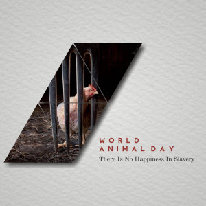 World Animal Day
