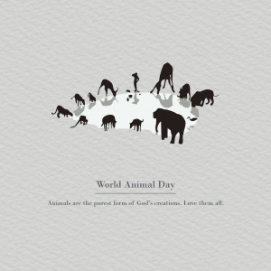 World Animal Day