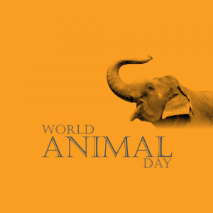 World Animal Day