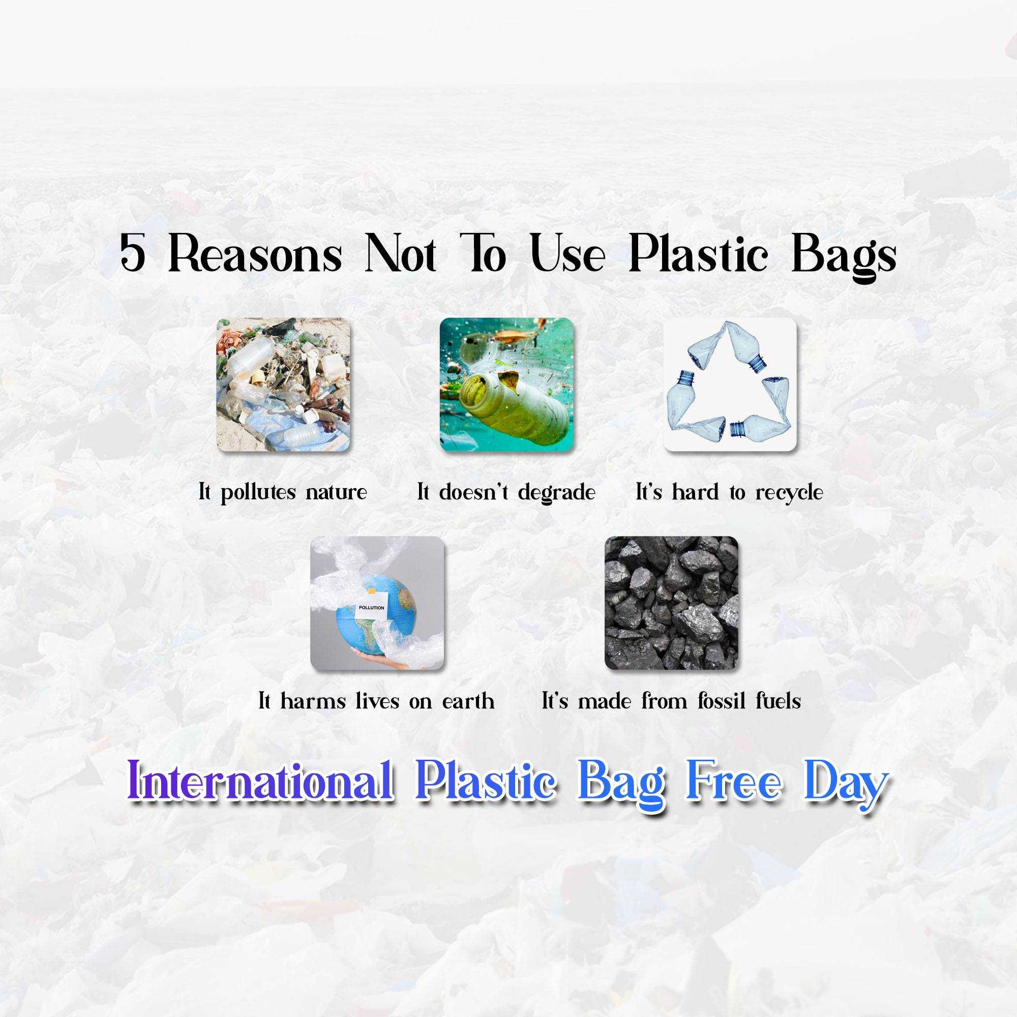 International Plastic Bag Free Day