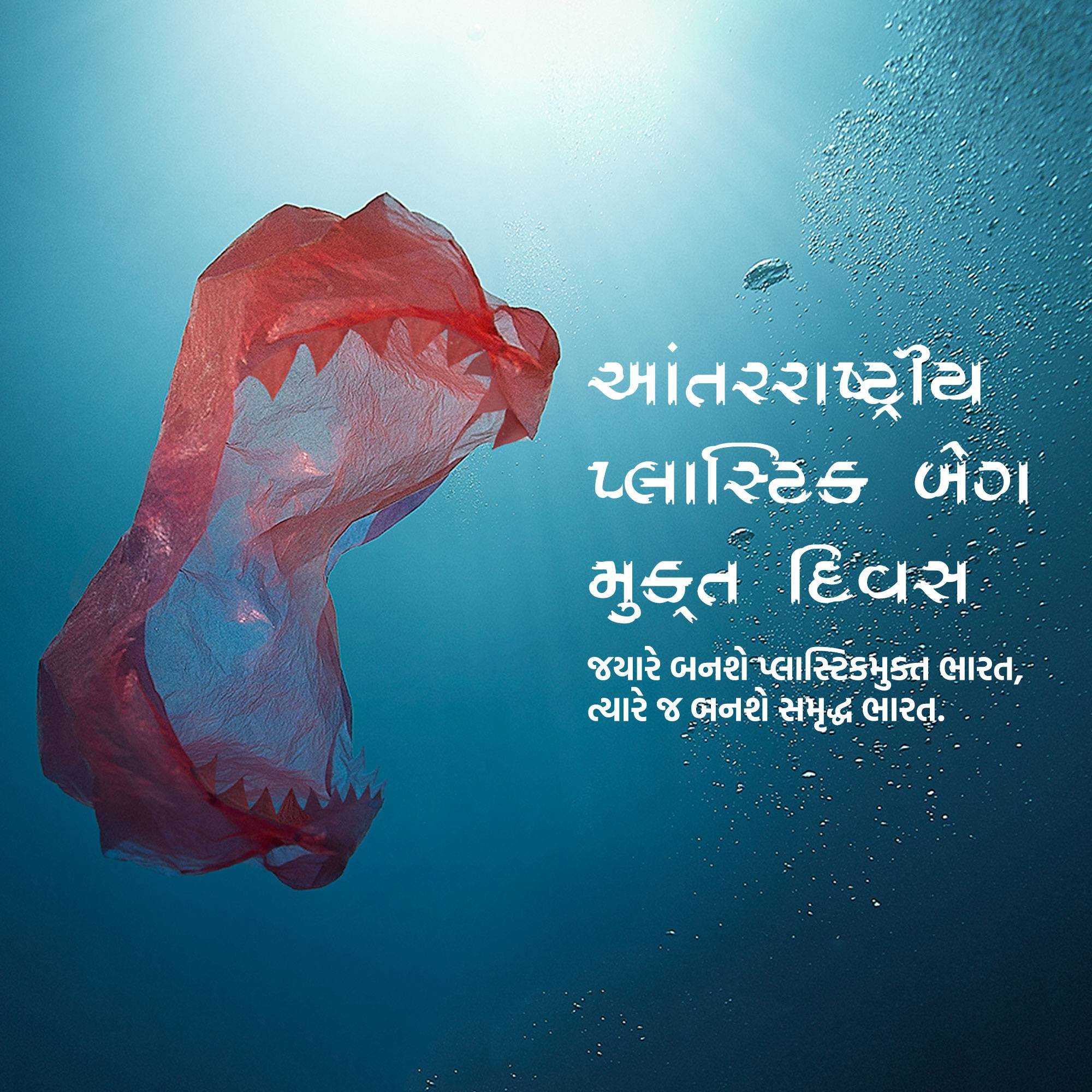 International Plastic Bag Free Day