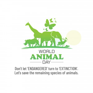 World Animal Day