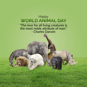 World Animal Day