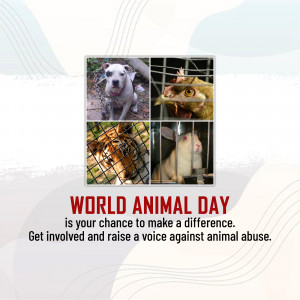 World Animal Day
