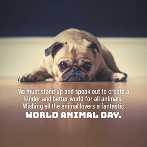 World Animal Day