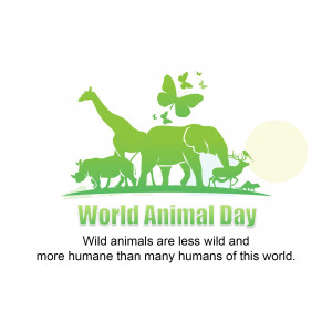 World Animal Day