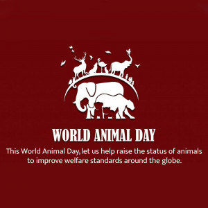 World Animal Day