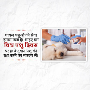 World Animal Day