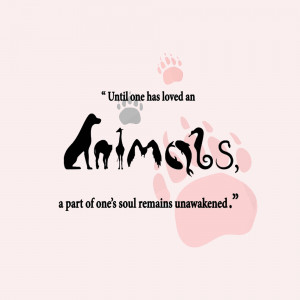 World Animal Day
