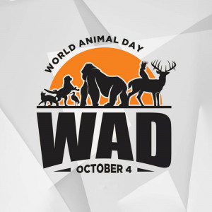 World Animal Day