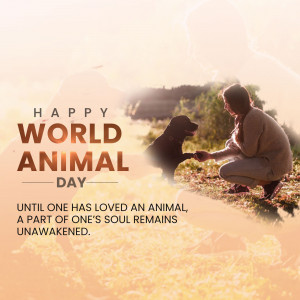 World Animal Day