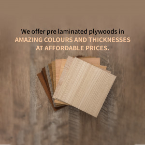 Plywood and Laminate